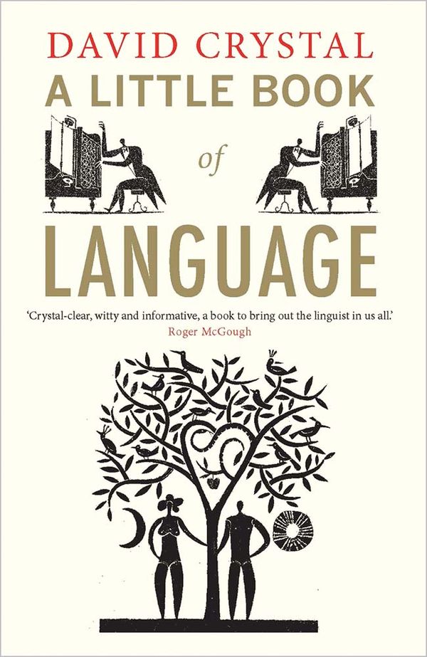 A Little Book of Language | 0:e upplagan