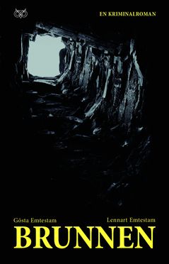 Brunnen : En kriminalroman | 0:e upplagan