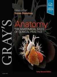 Gray's Anatomy