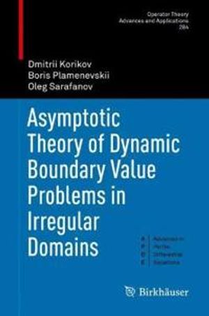 Asymptotic Theory of Dynamic Boundary Value Problems in Irregular Domains | 1:a upplagan