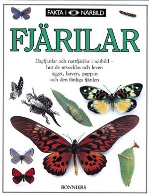 Fakta i närbild: Fjärilar