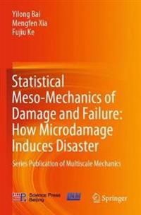 Statistical Meso-Mechanics of Damage and Failure: How Microdamage Induces Disaster : Series Publication of Multiscale Mechanics