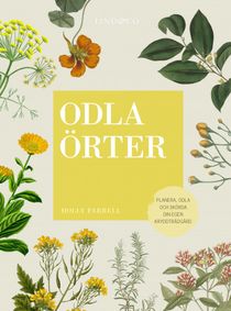 Odla örter. Planera, odla och skörda  din egen kryddträdgård