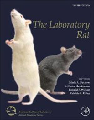 The Laboratory Rat