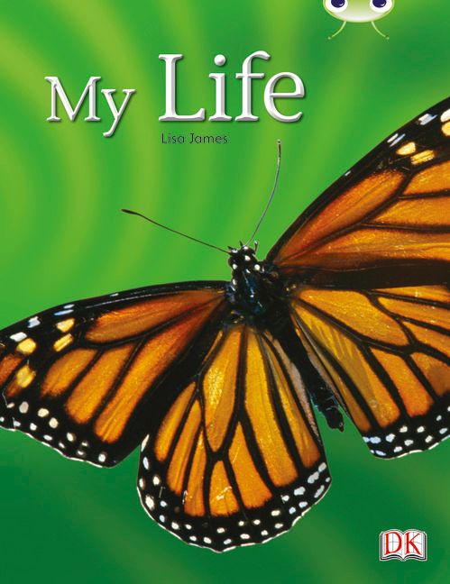 Bug Club NF Yellow C/1C My Life | 0:e upplagan