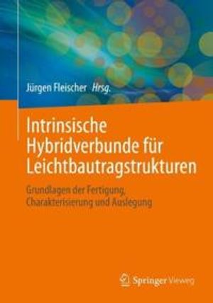 Intrinsische Hybridverbunde für Leichtbautragstrukturen | 1:a upplagan