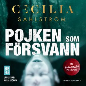 Pojken som försvann