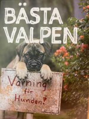 Bästa valpen | 1:a upplagan