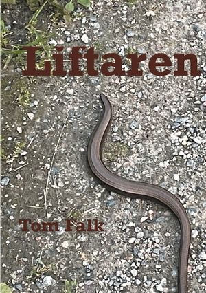 Liftaren | 1:a upplagan