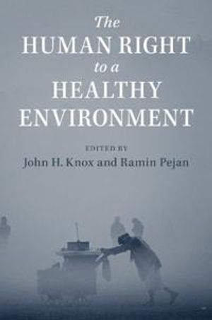 The Human Right to a Healthy Environment