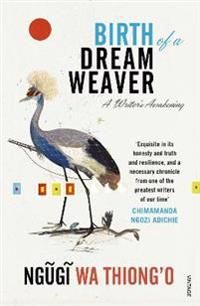 Birth of a dream weaver - a writers awakening