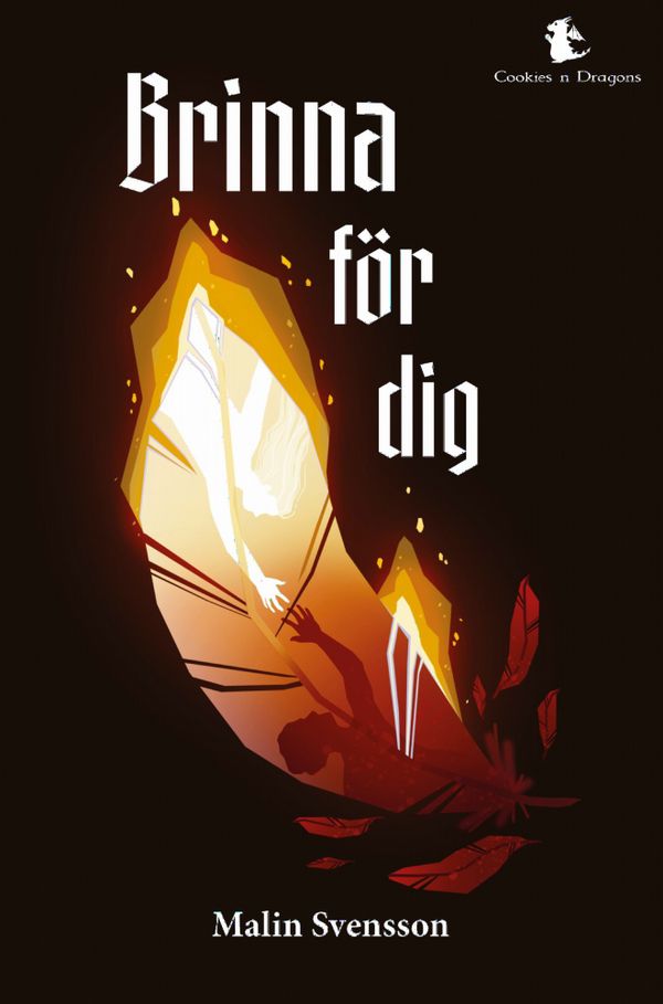 Brinna för dig | 0:e upplagan