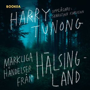 Märkliga händelser från Hälsingland