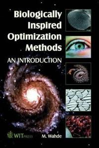 Biologically Inspired Optimization Methods | 0:e upplagan