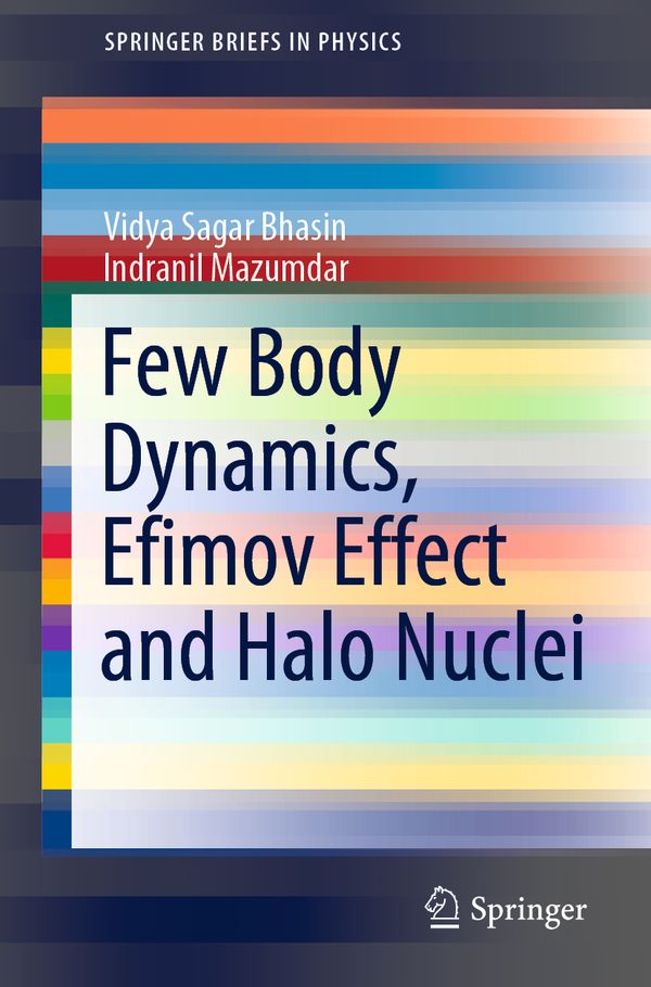 Few Body Dynamics, Efimov Effect and Halo Nuclei | 1:a upplagan