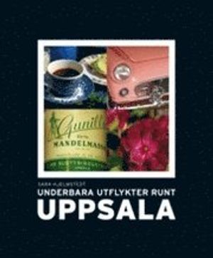 Underbara utflykter runt Uppsala