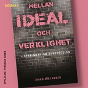 Mellan ideal och verklighet