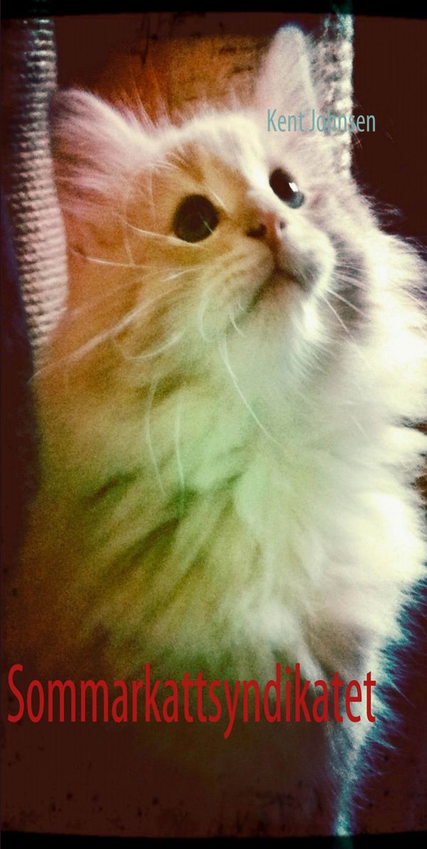 Sommarkattsyndikatet | 1:a upplagan