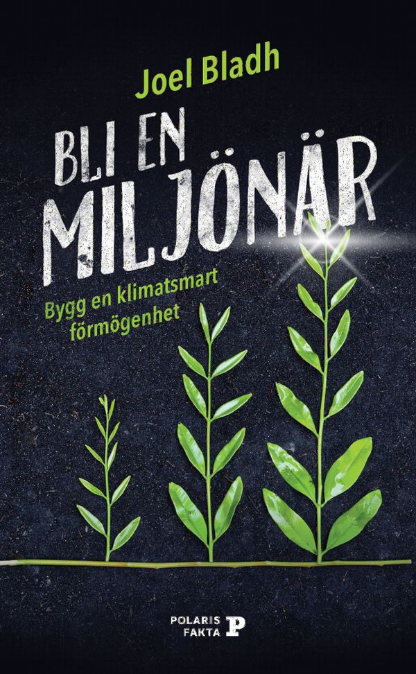 Bli en miljönär : Bygg en klimatsmart förmögenhet | 0:e upplagan
