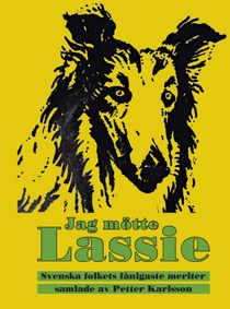 Jag mötte Lassie