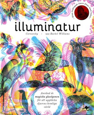 Illuminatur