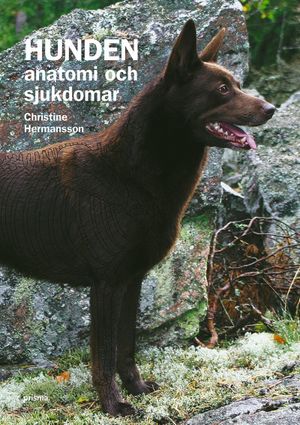 Hunden : anatomi och sjukdomar | 1:a upplagan