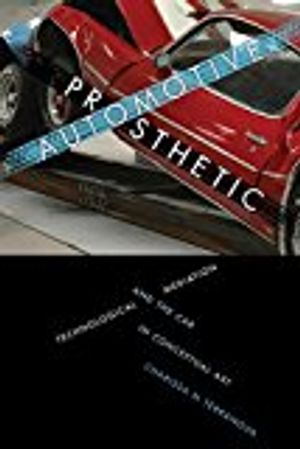 Automotive Prosthetic