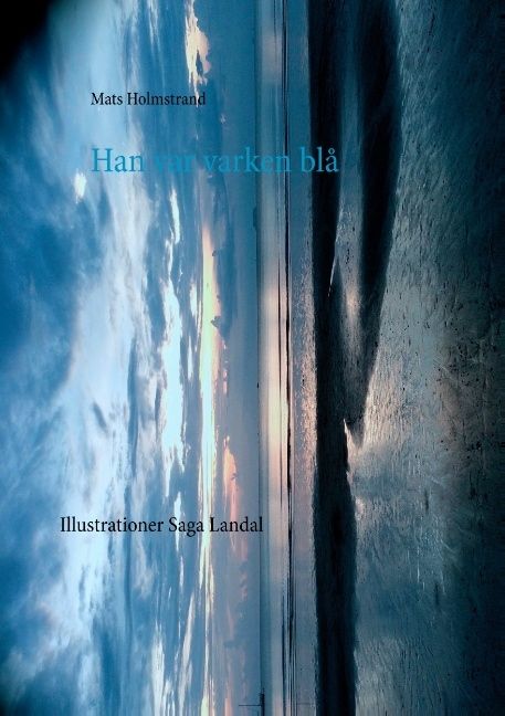 Han var varken blå : Mannen som hängde i slussen | 1:a upplagan