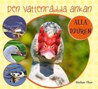 Den vattenrädda ankan | 1:a upplagan
