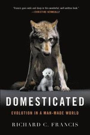 Domesticated - evolution in a man-made world