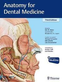 Anatomy for Dental Medicine - Michael Schuenke Erik Schulte Udo Schumacher - Upplaga 3