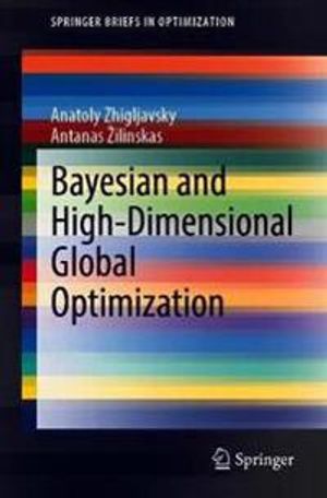 Bayesian and High-Dimensional Global Optimization | 1:a upplagan