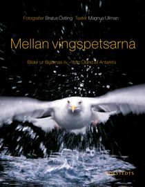 Mellan vingspetsarna : bilder ur fåglarnas liv - från Öland till Antarktis