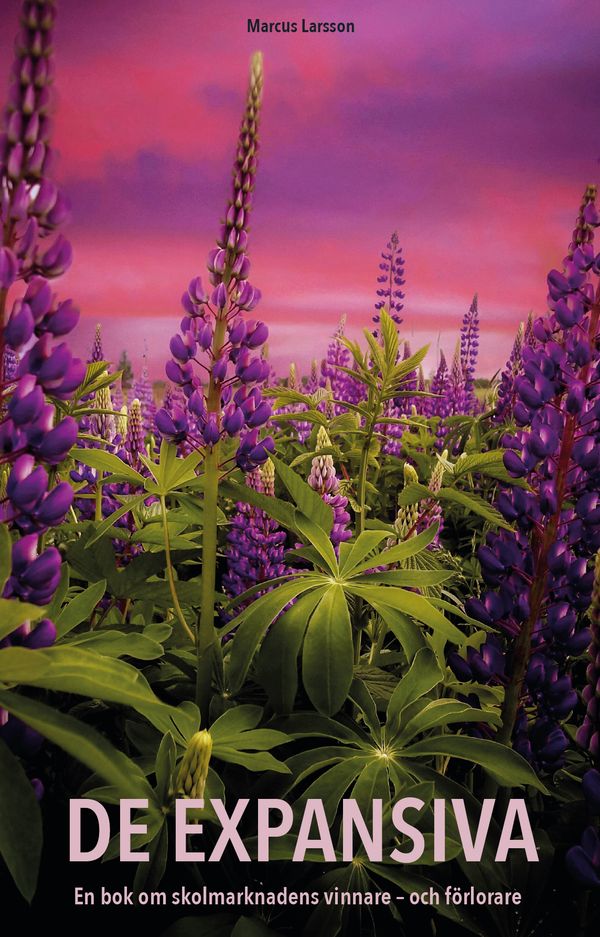 De expansiva : en bok om skolmarknadens vinnare och förlorare | 0:e upplagan