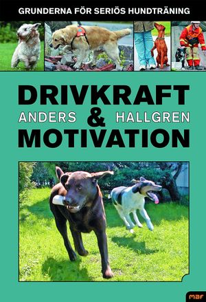 Drivkraft och motivation : grunderna för seriös hundträning