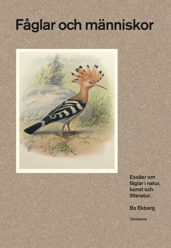 Fåglar och människor  - Essäer om fåglar i natur, konst och litteratur | 0:e upplagan