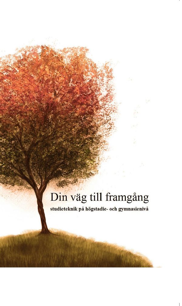 Din väg till framgång : studieteknik på högstadie- och gymnasienivå | 0:e upplagan