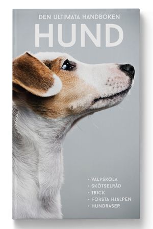 Den ultimata handboken : hund