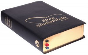 Stora Studiebibeln