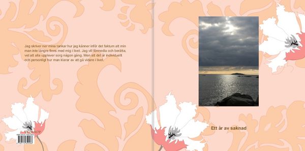 Ett år av saknad | 1:a upplagan