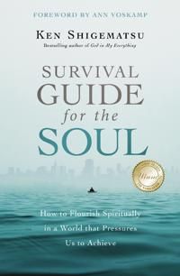 Survival guide for the soul - how to flourish spiritually in a world that p | 0:e upplagan