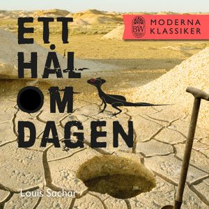 Ett hål om dagen | 1:a upplagan