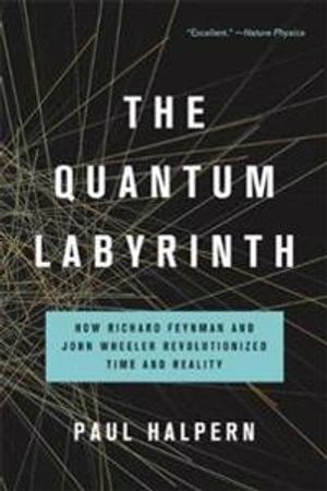 The Quantum Labyrinth