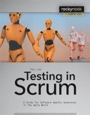 Testing In Scrum | 1:a upplagan