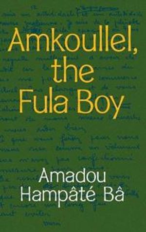 Amkoullel, the Fula Boy