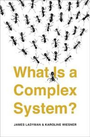 What Is a Complex System?