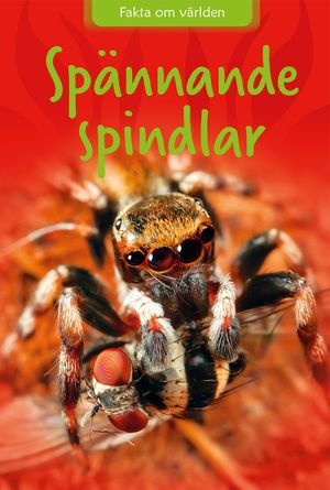 Spännande spindlar | 1:a upplagan