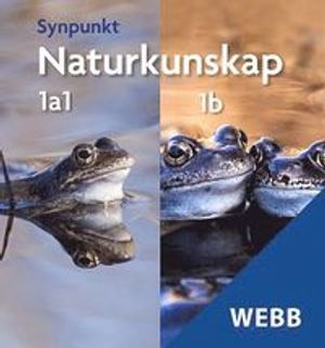 Synpunkt 1a1+1b 100 p Lärarwebb Individlicens 12 mån