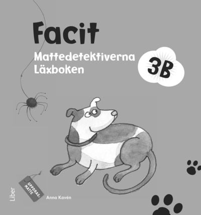 Mattedetektiverna 3B Facit | 1:a upplagan