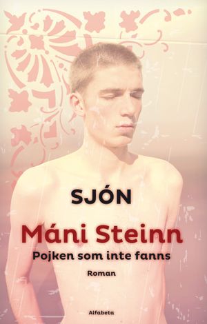 Máni Steinn : pojken som inte fanns | 1:a upplagan